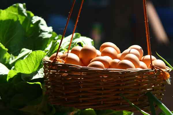 Fresh eggs from strongs fruit and veg poulton available for delivery and in shop